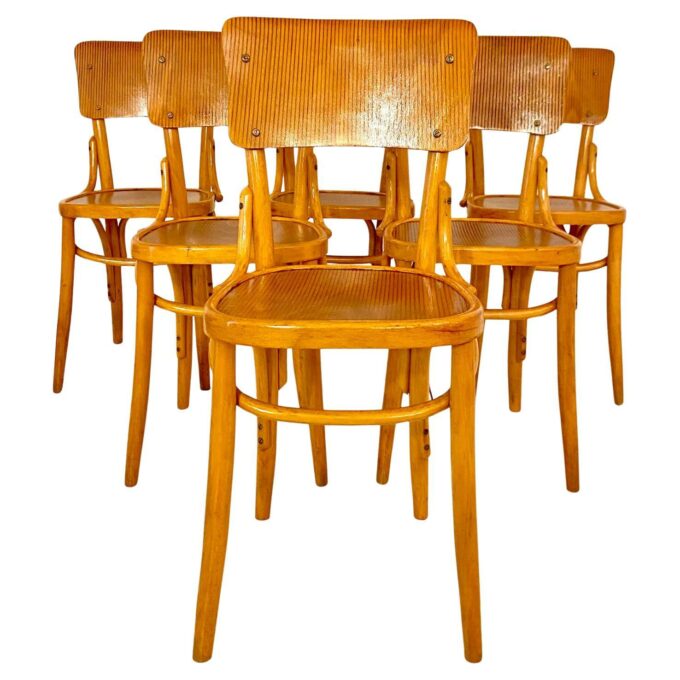 Mid Century Modern Dining Room Zebra Wood Chairs, set of six