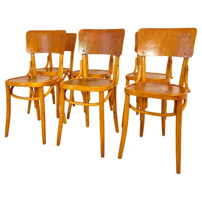 Mid Century Modern Dining Room Zebra Wood Chairs, set of six