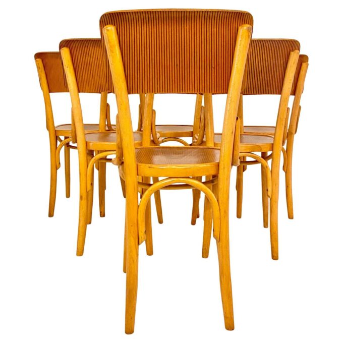 Mid Century Modern Dining Room Zebra Wood Chairs, set of six