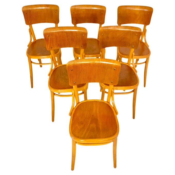 Mid Century Modern Dining Room Zebra Wood Chairs, set of six