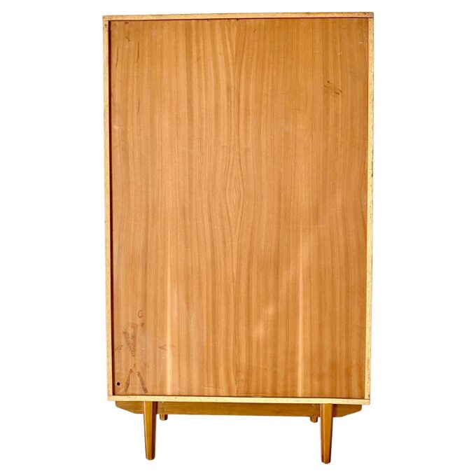 Mid Century Modern Teak Cupboard in Scandinavian Style