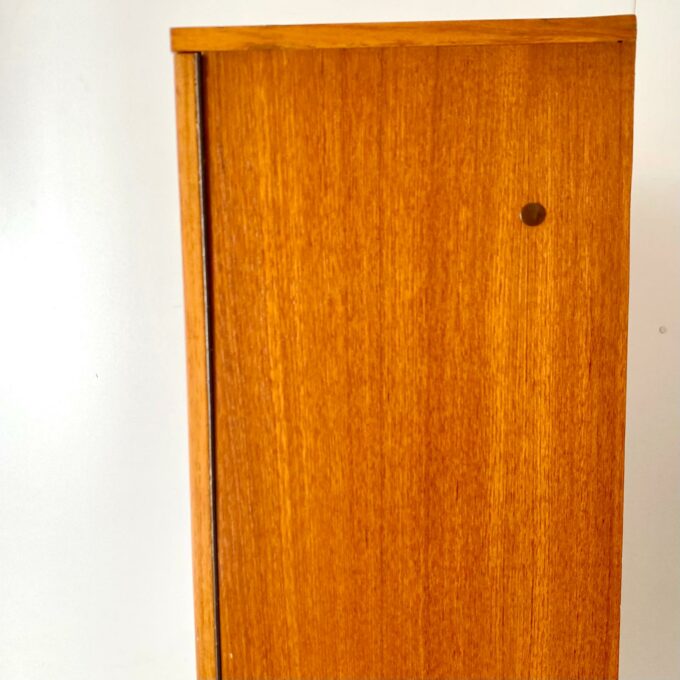 Mid Century Modern Teak Cupboard in Scandinavian Style